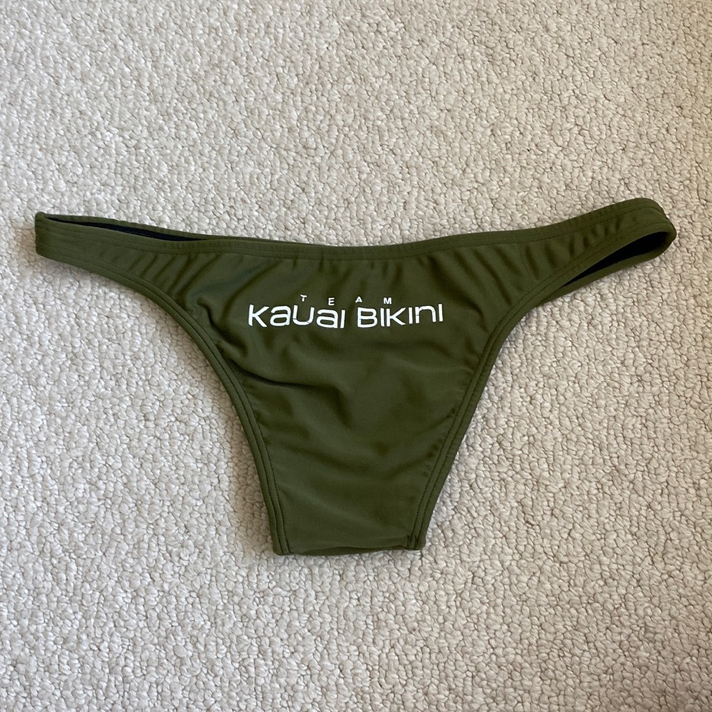 Ship Wreck Kauai Bikini Bottoms